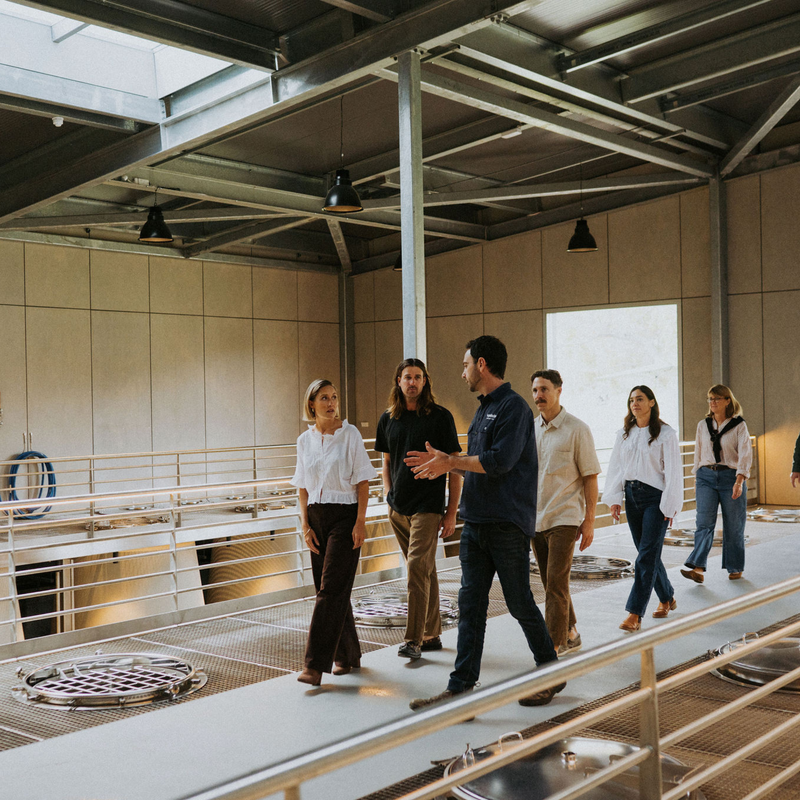 From Vine to Barrel: Inside the Wayfinder Winery
