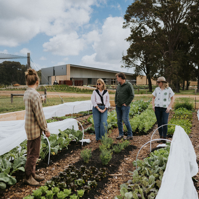 Walk Through the Garden: Market Garden Tours at Wayfinder