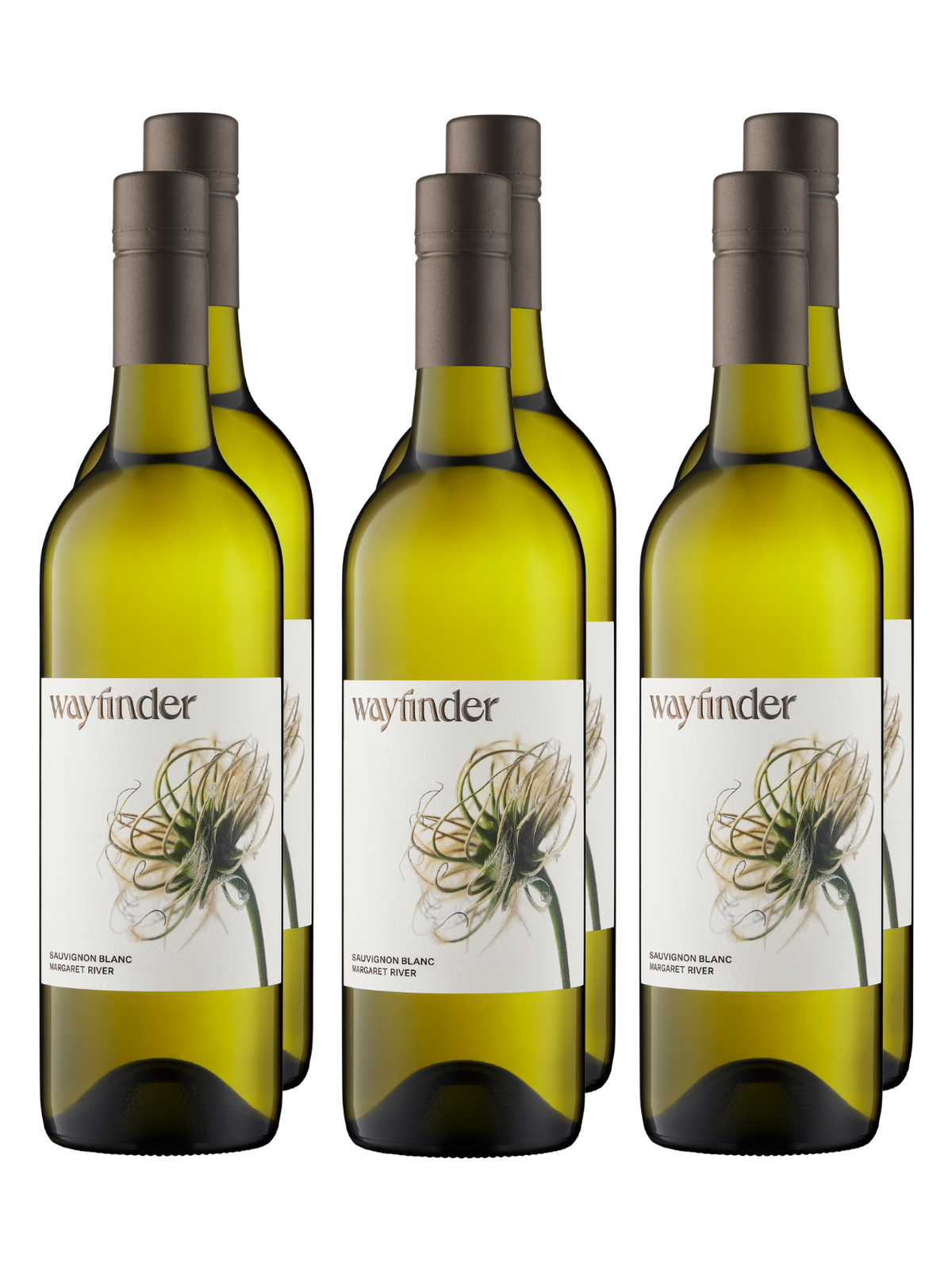 2024 Wayfinder Sauvignon Blanc 6-pack