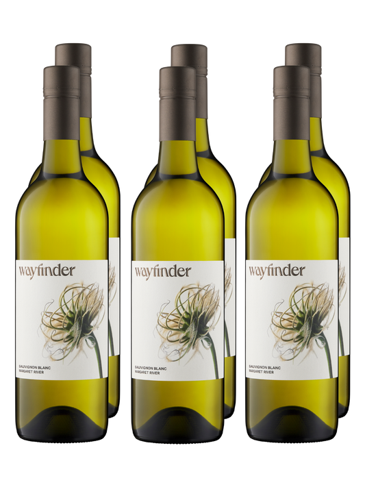 2024 Wayfinder Sauvignon Blanc 6-pack