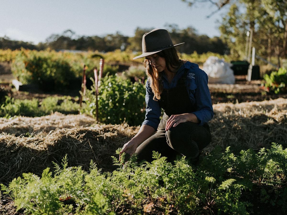 WAYFINDER MARKET GARDEN